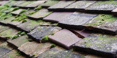 Tycroes roof repair costs
